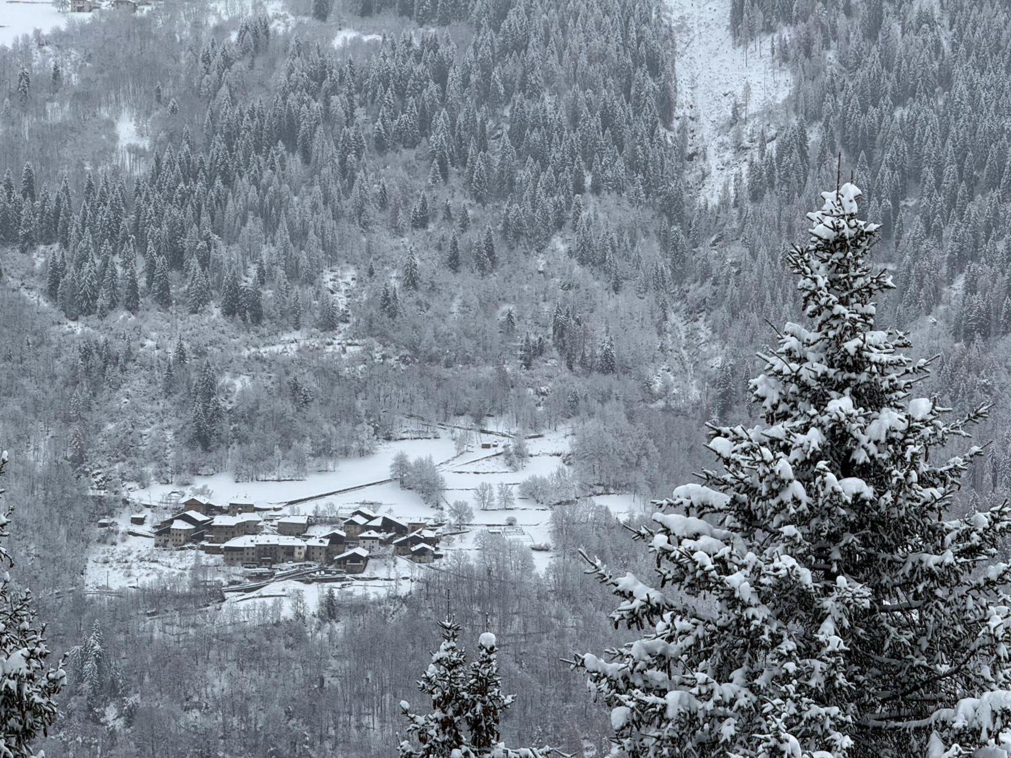 Panorama Marilleva 1400 - Val Di Sole公寓 外观 照片
